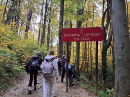 56458877112823996903546435773084937298102841n